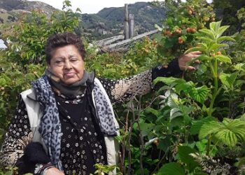 El Eslabón para seguir creciendo en la producción campesina