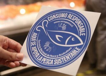 Sernapesca abre nueva postulación para obtener el Sello Azul, distintivo de compromiso con la pesca sustentable