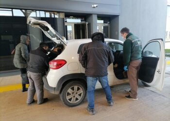 SAG Aysén entrega recomendaciones para viajar fuera de Chile.