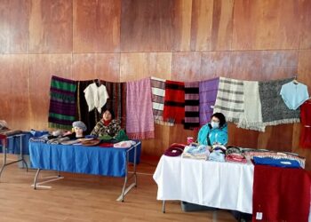 Este sábado comienza Feria de Emprendedoras en gimnasio de la escuela Pedro Quintana Mansilla