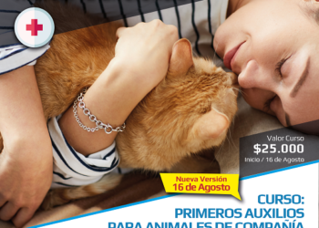 Solo entre el 1% y el 3% de las víctimas de emergencias fuera de la clínica veterinaria sobrevive