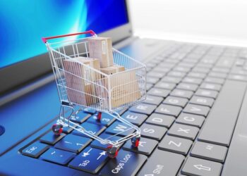 Lanzan nuevos cursos gratuitos para que PYMES de Aysén digitalicen sus emprendimientos