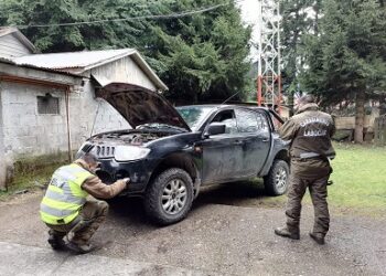 Carabineros de Puerto Aysén en coordinación con la Fiscalía detuvo a conductor por su presunta responsabilidad en fatal atropello