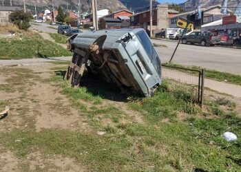 32 NOTIFICACIONES O PARTES DE CORTESÍA SE HAN CURSADO POR ESPECIES ABANDONADAS