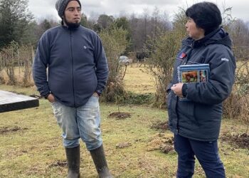 Los Pilares de INDAP para fortalecer la producción silvoagropecuaria en los nuevos tiempos