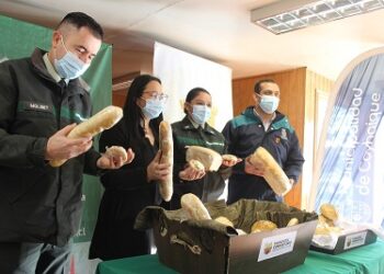 TRASPASAN FONDOS PARA HABILITACIÓN DE PANADERÍA COMUNITARIA
