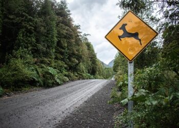 Nuevo convenio busca potenciar la conservación y el desarrollo turístico sostenible en la Ruta de los Parques de la Patagonia