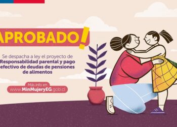 SE APROBÓ POR UNANIMIDAD LEY QUE PERMITIRÁ EL PAGO EFECTIVO DE PENSIONES DE ALIMENTOS.