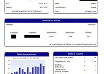 LA PLANTA ELÉCTRICA MUNICIPAL DE GUAITECAS INCORPORÓ LA BOLETA COMO MÉTODO DE COBRANZA