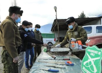 Carabineros de Puerto Aysén detuvo a cuatro personas por abigeato