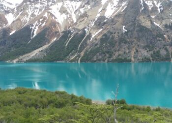 Con miras a un turismo sustentable y de protección Conaf da inició a licitación para mejoras en Parque Nacional Patagonia
