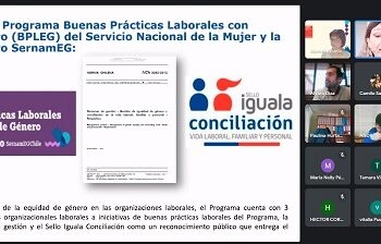 SernamEG imparte charla sobre buenas prácticas laborales con equidad de género y Norma Chilena 3262