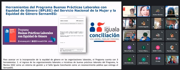 SernamEG imparte charla sobre buenas prácticas laborales con equidad de género y Norma Chilena 3262