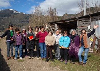 Culmina ciclo de talleres presenciales del programa Mujer y Participación Política y Social de SernamEG