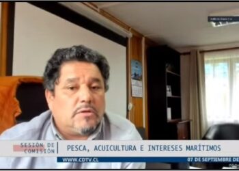 ALCALDE SILVA EXPUSO EN LA COMISIÓN DE PESCA DE LA CÁMARA DE DIPUTADOS SUS PROPUESTAS A LA LEY BENTÓNICA
