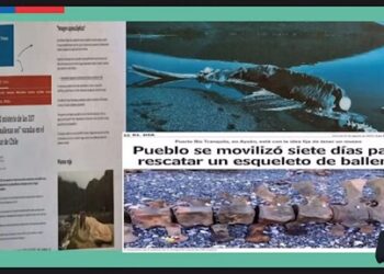 Destacada participación tuvieron docentes de la Escuela de Puerto Tranquilo en el Seminario «Seamos Comunidad que Innova»