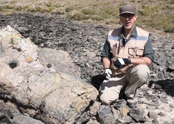 Nuevos descubrimientos fósiles en Aysén: “Hemos logrado aumentar sustancialmente el conocimiento que tenemos de la región”