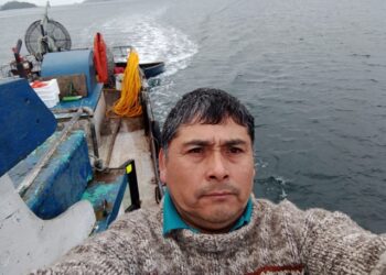 Comité Bentónico de Aysén: “Así como vamos tendremos que vender los erizos por docena”