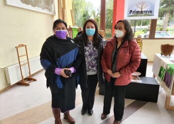 “Concejalas de Coyhaique invitan a Aprobar este domingo”