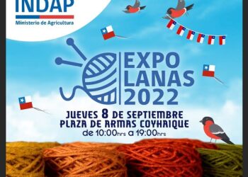 Artesanos y Artesanas, usuarios de INDAP &nbsp;se reúnen en la segunda versión de Expo Lanas 2022