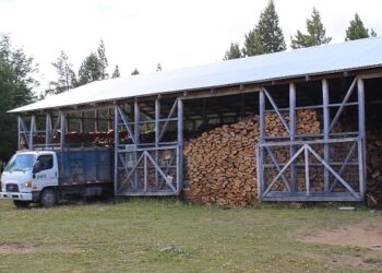 Seremi Díaz destaca aprobación del Senado del proyecto de ley que regula los Biocombustibles Sólidos