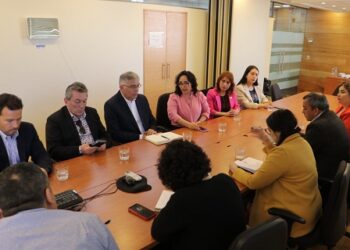 Gobernadora Regional y Consejeros asisten a reuniones ministeriales para abordar mejoras en la Región de Aysén