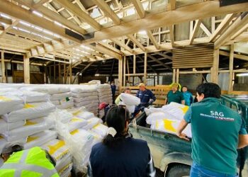 Trabajo intersectorial permite concretar apoyo a 265 productores de la comuna de Cisnes