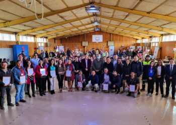 Reconocen a Equipos del Sector Salud que Enfrentan la Pandemia en la región de Aysén