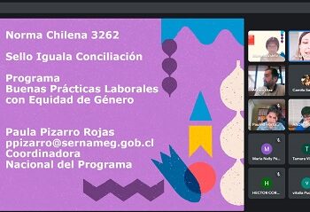 SernamEG imparte charla sobre buenas prácticas laborales con equidad de género y Norma Chilena 3262