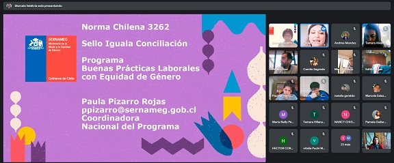 SernamEG imparte charla sobre buenas prácticas laborales con equidad de género y Norma Chilena 3262