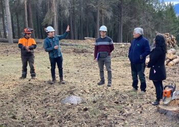 Gobernadora regional visita programa transferencia de fomento al empleo en Cochrane