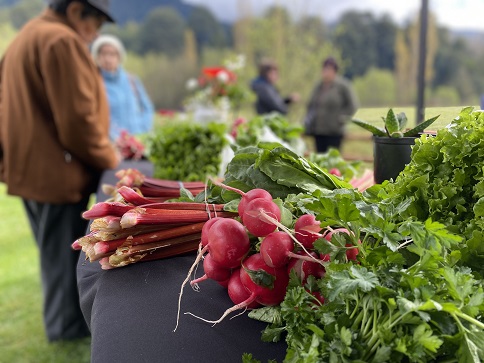 Seremi de Agricultura e INDAP Aysén invitan a la comunidad a preferir productos campesinos