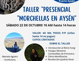 La Morchella será protagonista de taller práctico en Villa Ortega