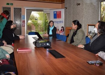 Dirigentas y autoridades invitan a postular a la Escuela Mujeres Líderes Políticas y Sociales
