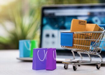 “Pymes en Línea”: la plataforma gratuita que ha digitalizado los negocios de más de 400 emprendedores de Aysén