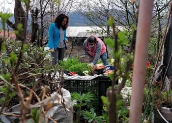 Realizan entrega de Invernaderos e implementos para 18 familias del programa Autoconsumo de Coyhaique