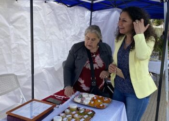 CONADI Y SERNAMEG REALIZAN FERIA DE LA MUJER INDÍGENA EN COYHAIQUE