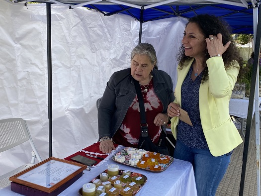CONADI Y SERNAMEG REALIZAN FERIA DE LA MUJER INDÍGENA EN COYHAIQUE