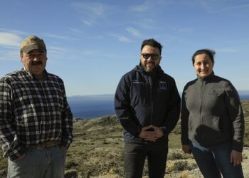 Experiencia piloto busca implementar alternativas forrajeras para mejorar la ovejería en la Cuenca del Lago General Carrera.