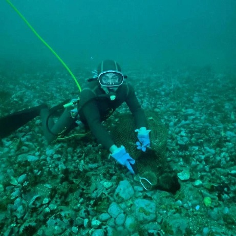 Duro revés para la Subsecretaría de Pesca por otorgan cuotas de erizo adicional a la región de Los Lagos