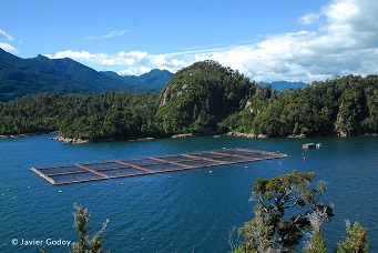 Informe revela preocupante ocupación de la porción marina de reservas y parques nacionales por parte de la salmonicultura