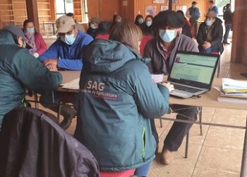 El 30 noviembre vence el plazo para efectuar Declaración de Existencia Animal