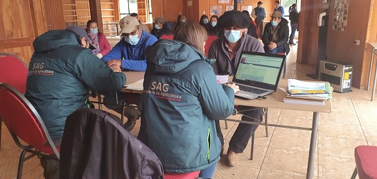 El 30 noviembre vence el plazo para efectuar Declaración de Existencia Animal