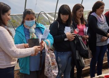 Familias de Aysén se capacitan en técnicas de preparación de almácigos