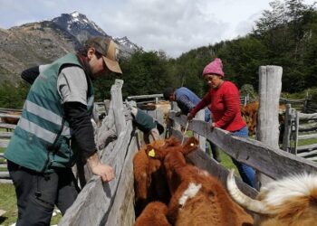 Funcionarios del Ministerio de Agricultura realizaron labores de apoyo para productores del Sector El Avellano