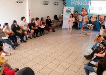 Mesa de la Mujer Indígena se informa sobre nuevo programa del Gobierno Regional de Aysén