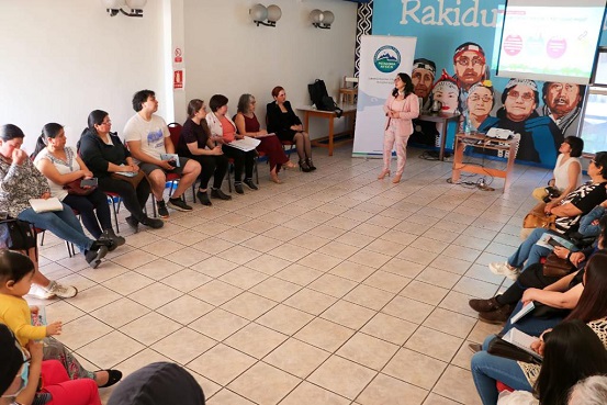 Mesa de la Mujer Indígena se informa sobre nuevo programa del Gobierno Regional de Aysén