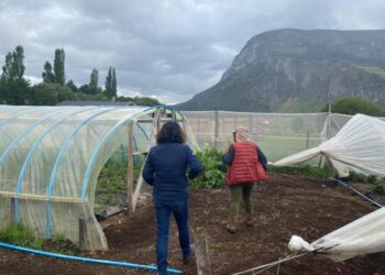 “En estos sesenta años de INDAP, la institución junto a los agricultores (as) tenemos que repensar cómo queremos proyectar el desarrollo silvoagropecuario”