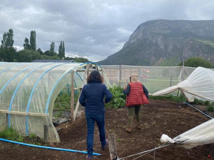“En estos sesenta años de INDAP, la institución junto a los agricultores (as) tenemos que repensar cómo queremos proyectar el desarrollo silvoagropecuario”