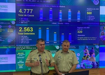 Carabineros ha detenido a más de 2.500 personas por delitos asociados al robo de madera